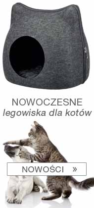 Atrakcyjne promocje na akcesoria dla kotów. Wyprzedaże, oferty specjalne. Skorzystaj z okazji i kupuj taniej - legowiska dla kota, drapaki, obroże, smycze, szelki, kuwety, żwirek dla kota, karma i inne sklep zoologiczny Duzepsy.pl